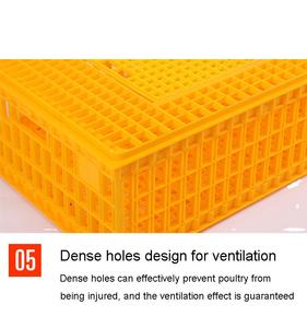 Jaula de plástico para transporte de pollos, jaula para palomas, pollos de engorde, jaula para transporte de aves vivas - Product Image 4