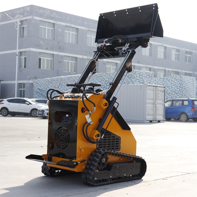 Fast Delivery Cheap Mini Track Skid Steer Loader with 800kgs Lifting Capacity for Sale