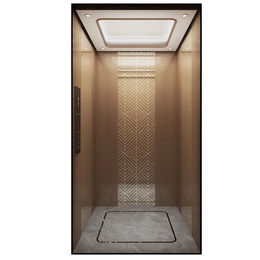 High-end villa asansörü iç üreticileri doğrudan asansör ücretsiz tasarım çeşitli