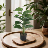 Plantes Artificielles 18 Têtes Aglaonema Style Nordique Bonsaï Décoratif Plastique Feuilles Réalistes Haute Simulation Intérieur Vente en Gros
