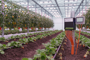 وحدة استشعار درجة الحرارة نوع RS485K مزدوجة الحرارة PT100 مقاومة حرارية NTC درجة صناعية مضادة للتداخل - Product Image 3