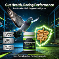 Pâte Probiotique Intestinale pour Pigeons de Course avec Lactobacillus Acidophilus et Métabolites, Naturelle Sans Antibiotiques, 250g