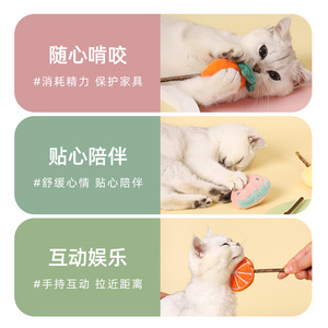 Juguete de masticación duradero con hierba gatera para gatos, palo para jugar con frutas y verduras, suministros para mascotas de interior al por mayor - Product Image 3