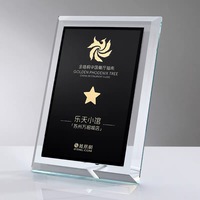 Gravure personnalisée en cristal noir Certificat Plaque Awards Certificat MH-NJ0913