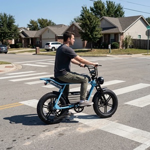 <span class=keywords><strong>Bicicleta</strong></span> Eléctrica Estilo Moped con Llantas Gruesas de 20 Pulgadas, Batería de Litio de 48V 16Ah, <span class=keywords><strong>Bicicleta</strong></span> Urbana para Recorridos Diarios por el Campus y el Vecindario - Product Image 4