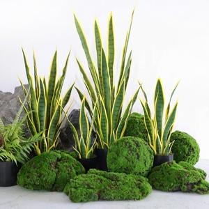 Planta Artificial Decorativa, Orquídea Tigre Artificial, Decoración de Hogar de Lujo, Plantas Artificiales y Verdes de Aspecto Natural para Mesa - Product Image 4