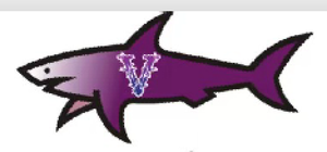 Pegatinas con Diseño de Bandera de Paul Shark Impresas con UV, Estilo de Dibujos Animados, Decorativas, CP Jul Vrunk Marseille Palestina, Gran Venta 2025 - Product Image 4