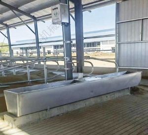 Chauffage électrique en acier inoxydable Réservoir d'eau potable <span class=keywords><strong>pour</strong></span> le bétail <span class=keywords><strong>Abreuvoir</strong></span> <span class=keywords><strong>pour</strong></span> le bétail Vaches laitières Équipement <span class=keywords><strong>à</strong></span> <span class=keywords><strong>vendre</strong></span> - Product Image 5