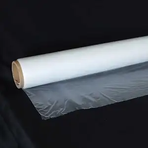 Adhesive Film For Fabric Hot Melt Film Adhesive Without Release Paper For Textile Fabric And Footwear Material Lamination