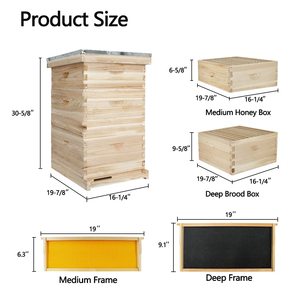 Ba Thông Bee Hive Kit Bee Tổ Ong Hộp Starter Kit Tổ Ong Khung Sáp Bột Nền Tảng Kính Thiên Văn Mái Stackable Lưu Trữ Thùng - Product Image 4