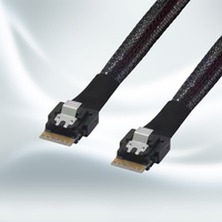 Câble SAS Slim haute vitesse 4.0 38 broches SFF-8654 4i 38 broches Host vers SFF-8654 Slim SAS 38 broches pour serveur et poste de travail