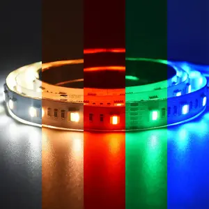 SMD5050 RGBCCT LED Strip Lights DC24V RGB + W + WW luci flessibili a LED regolabili che cambiano colore per la cucina domestica della camera da letto