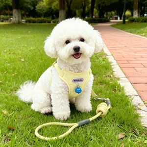 वैंजिया पालतू जोड़ी डबल-लेयर सादे जाल कुत्ते का दोहन, गैर विषैले घंटी, समायोज्य, छोटे और मध्यम कुत्तों के लिए एंटी-एस्केप - Product Image 6