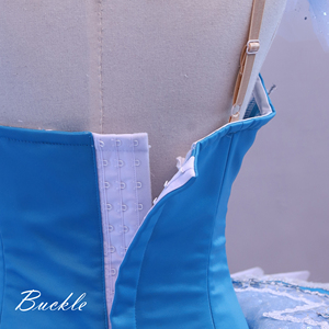 T0165 Robe de ballet classique professionnelle pour adulte, tutu de ballerine à plis bleus dégradés - Product Image 5