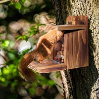 Comedero para Ardillas de Madera con Grosor de 1.5CM, Madera Resistente, No Requiere Ensamblaje, Casa de Alimentación para Ardillas para Jardín Exterior