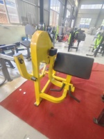 Machine d'entraînement de biceps chargée par plaque d'utilisation commerciale de RiZhao pour le GYM