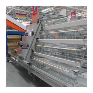 Fully Automatic Poultry Farming A Type Battery System Egg Layer Chicken Cages
