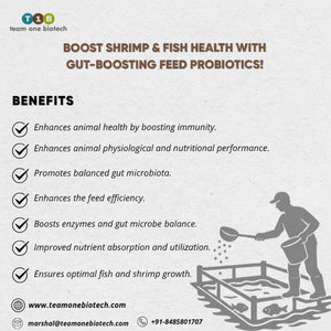 Suplemento Probiótico para Peces y Camarones, Aditivos Alimenticios Premium - Product Image 1