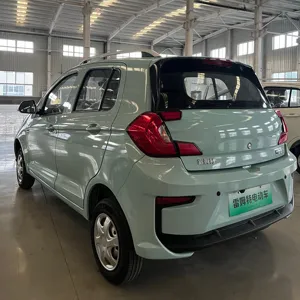 Novo Mini Veículo Elétrico Do Carro EV 2023 Carro Quente Para Venda Preço Baixo Marca Chinesa FUJIE LEIKA Veículo Portátil De Alta Velocidade