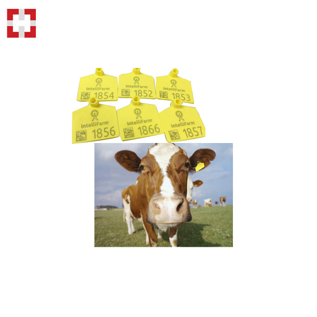 VANCH RFID-ретранслятор с ушной биркой для крупного рогатого скота и козы, система отслеживания свиней