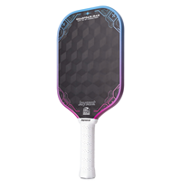 Raquette de pickleball Joysent Usapa, fabrication en gros, design 3D18K en fibre de carbone, raquette professionnelle de pickleball personnalisée