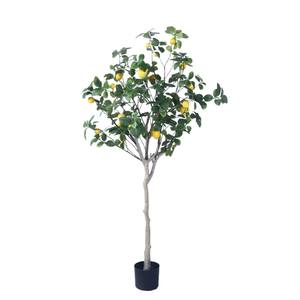 Vente en gros <span class=keywords><strong>de</strong></span> mini arbres fruitiers artificiels en plastique Calamondin et Citronnelle, plantes d'intérieur décoratives <span class=keywords><strong>de</strong></span> Noël - Product Image 6