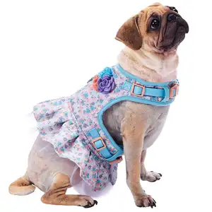 ब्लूबेरी पालतू पैटर्न बनाया अच्छी तरह से पुष्प संग्रह कुत्ते कॉलर Harnesses Leashes दोहन कपड़े