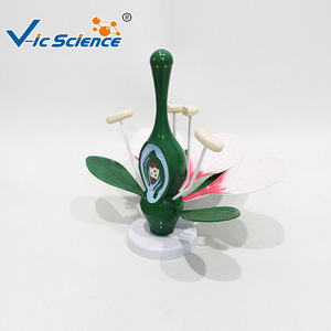 Matériel d'expérimentation biologique pour collégiens : Modèle Fleur de Pêcher, Instruments pédagogiques pour l'expérimentation sur la fleur de pêcher - Product Image 3