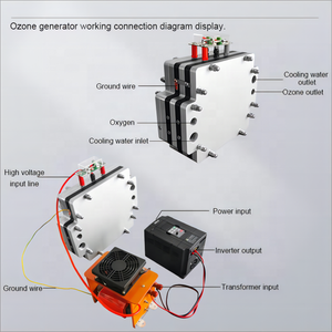 150g 1200W generador de ozono de plasma frío Placa de ozono de cerámica 220V 380V para limpiador de alimentos de ozono - Product Image 4