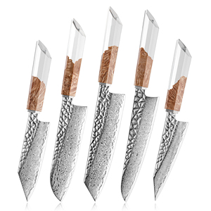 Ensemble de couteaux de cuisine haut de gamme en acier Damas AUS10, couteaux de chef, Santoku, Bunka, Nakiri, couteaux utilitaires avec manche en résine et bois stabilisé - Product Image 2