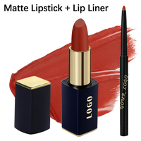 Rouge à lèvres liquide minéral mat de marque privée, certifié CE, 4g, vente en gros, logo personnalisé, fabricant OEM ODM, longue tenue