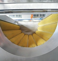 Automatische 800/1000-type aardappelwas- en schilmachine, zware borstelrolschiller, hoogrendements cassave schil- en wasmachine