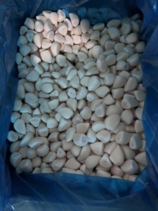 Ajo Congelado de Alta Calidad, Cosecha 2026, Certificado BRC(A) ISO22000, Ideal para Sazonar y Procesamiento Industrial de Alimentos - Product Image 2