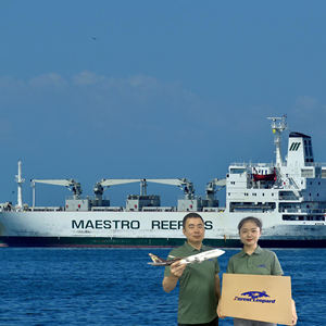 Goedkoopste DDP zeevracht expediteur transport LCL FCL vracht Qingdao expediteur China naar Japan FBA container Jemen - Product Image 3