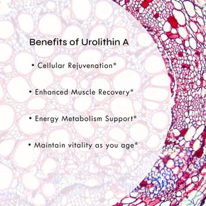 Urolithin a Capsules yang ditingkatkan kekuatan 1000mg vitalitas kesehatan seluler canggih NAD + Boost, perbaikan sel antioksidan - Product Image 6