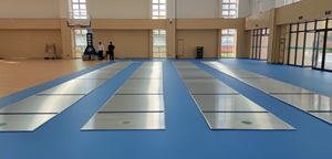 Cannelure de clôture <span class=keywords><strong>en</strong></span> Aluminium MJ67, Segments - Product Image 6