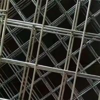 Feuille de maille de grille de fil de fer soudé par métal grillage soudé galvanisé pour l'escrime et la cage d'animal