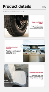 <b>2</b>-Seater Electric Tricycle with Rear Cargo Area, 200-300kg Load Capacity - Product Image 5