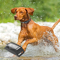 Collier GPS pour animaux de compagnie avec suivi en temps réel et géorepérage intelligent pour chien et chat