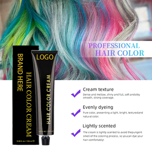 Bán buôn OEM colour Thương hiệu chất lượng cao vĩnh viễn Salon sử dụng thấp Amoniac màu kem Thuốc nhuộm tóc - Product Image 2