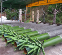 Grandes Fausses Plantes Tropicales 4m 5m 3/5/6/7/8 Mètres de Hauteur 14 Ft 10m de Haut Grands Cocotiers Artificiels Extérieur