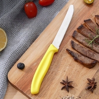 Lot de 12 couteaux à steak à bord dentelé, manches ergonomiques en plastique, pour une coupe efficace de la viande, couteaux de table pour la maison et la restauration