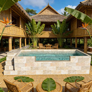 Piscina de fibra, piscina enterrada, limpiador de piscinas Dolphin, revestimiento de piscina, piscinas para niños, piscina exterior, jacuzzi - Product Image 3