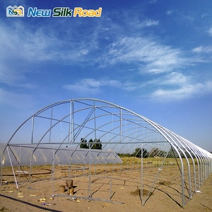 <span class=keywords><strong>Serre</strong></span> agricole à simple portée à faible coût, en acier galvanisé à chaud, avec couverture en film plastique multi-ventilation, marque NSR - Product Image 2