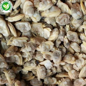 Carne de almeja de bebé hervida congelada IQF Mariscos de calidad premium para sus delicias culinarias - Product Image 2