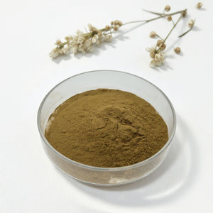 Suministro <span class=keywords><strong>de</strong></span> fábrica, semilla <span class=keywords><strong>de</strong></span> <span class=keywords><strong>cilantro</strong></span>, <span class=keywords><strong>perejil</strong></span>, extracto <span class=keywords><strong>de</strong></span> hoja en polvo, extracto <span class=keywords><strong>de</strong></span> <span class=keywords><strong>cilantro</strong></span> - Product Image 5