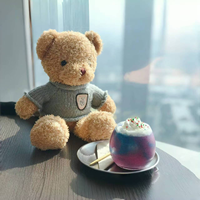 Boneka Beruang Teddy Sweater Lembut 25cm, Boneka Beruang Berpakaian, Hadiah Mesin Arcade Pusat Perbelanjaan, Penjualan Langsung, Barang Berkualitas