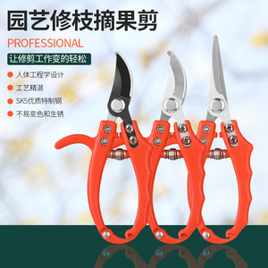 Pinheng Sk5 Pruning Shears Bypass 10-20 Mm Red Manual Garden <b>Tool</b> For Tree Trimming And Grafting - Product Image 4