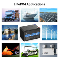 Melasta Wiederaufladbare Solar-Lithium-Eisenphosphat-Batterie zum Fabrikpreis, Tiefzyklus 12,8V 12Ah LiFePO4-Batterie für Boote