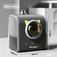 Sac à dos pliable et respirant pour chat, sac de transport pour animaux de compagnie, sac à bandoulière pour voyages en plein air, pour chats et petits animaux, à utiliser en sortie